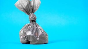 <p>Charge against woman stated: 'On February 4 at North Main Street, being a person in charge of a dog, she did fail to immediately remove any faeces deposited in the said place by the said dog.'</p>