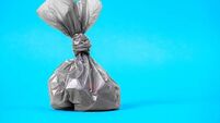 Close up plastic bag gathering with dog poop droppings on a blue background. Eco friendly solution for pet owners