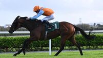 The Scallionator gives jockey Wesley Joyce landmark win in Cork