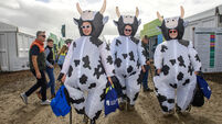 Ten must-haves and must-dos for National Ploughing Championships