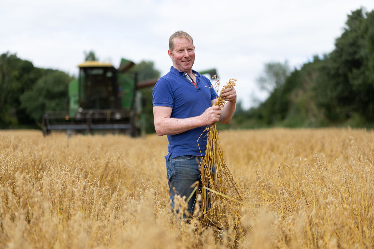 Patrick Quinn on his farm near Newmarket on Fergus, Co Clare. Picture: Eamon Ward Patrick Quinn on his farm near Newmarket on Fergus, Co Clare. Picture: Eamon Ward