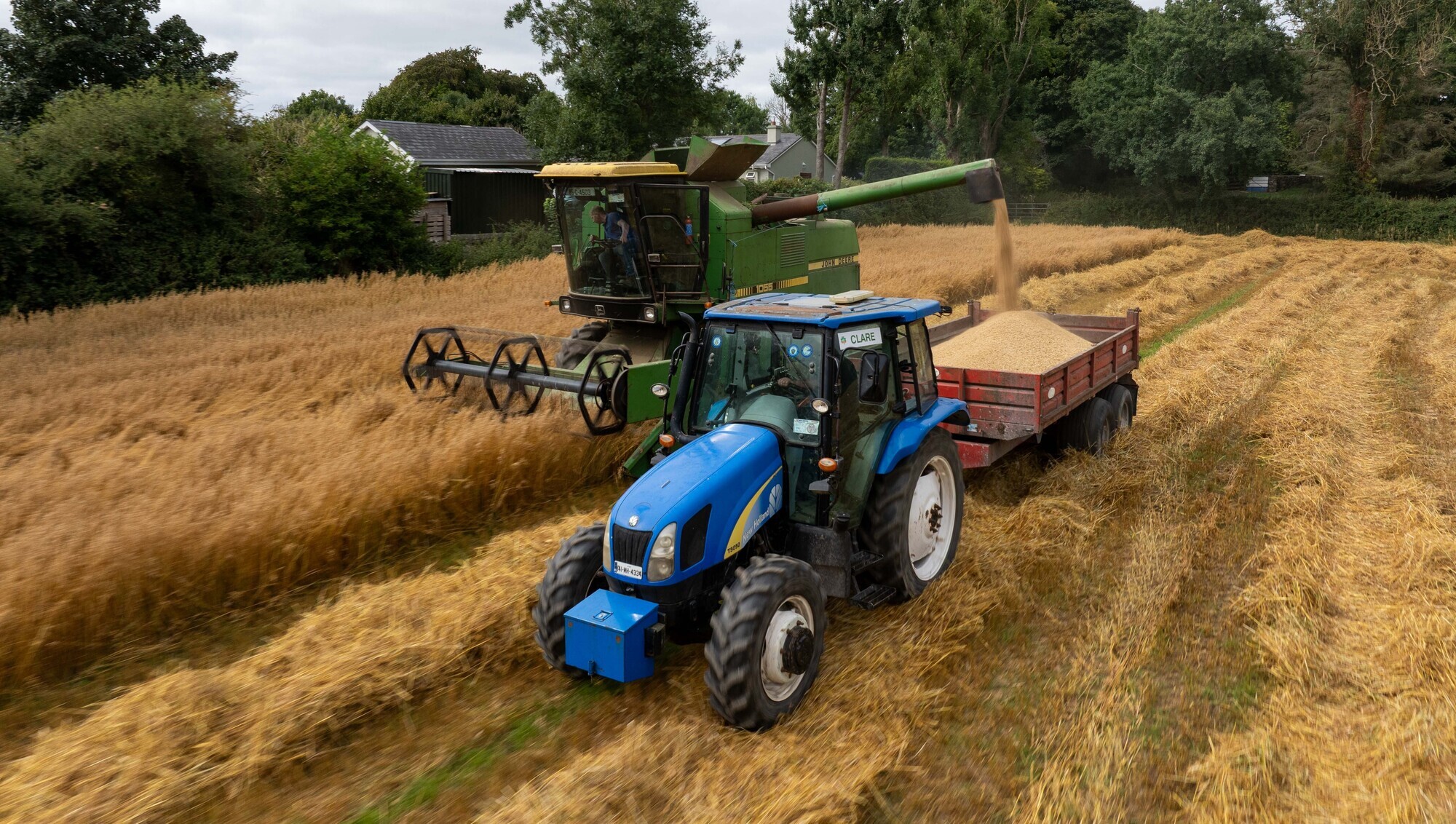 Patrick Quinn harvesting Oats on his farm near Newmarket on Fergus, Co Clare. Picture: Eamon Ward