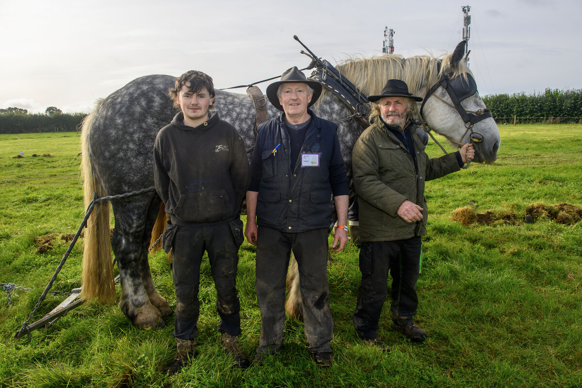 Jonathon, Moss and James Trant fro Tralee with their horses at the 2025 National Ploughing Championships in Screggan, Co Offaly. Picture: Dan Linehan Jonathon, Moss and James Trant fro Tralee with their horses at the 2025 National Ploughing Championships in Screggan, Co Offaly. Picture: Dan Linehan