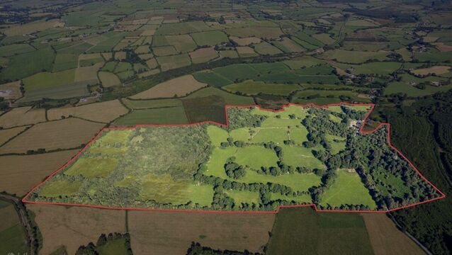 <p>The selling agents says there are about 60 acres of very good land.</p>