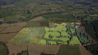 Making sustainability work on Irish farms