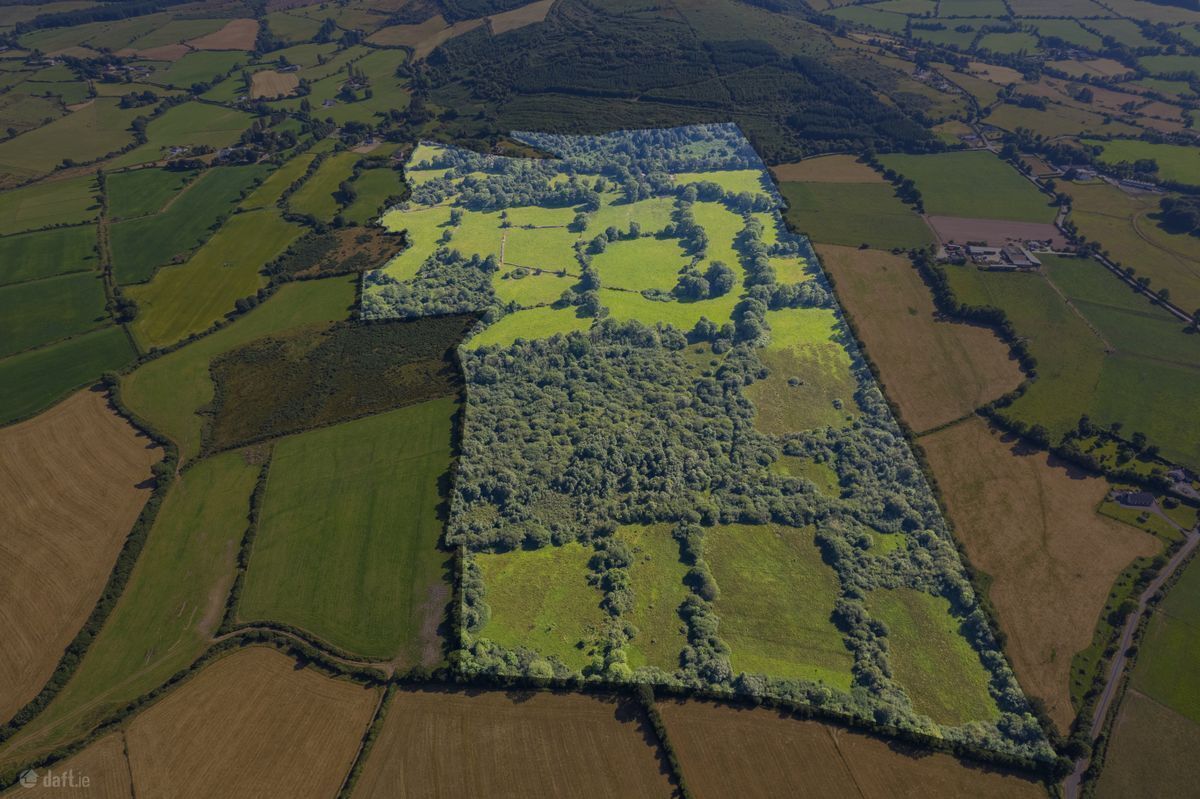 The price guide of the 104-acre farm at Gneeves, is €750,000 (€7,500/acre). The price guide of the 104-acre farm at Gneeves, is €750,000 (€7,500/acre).