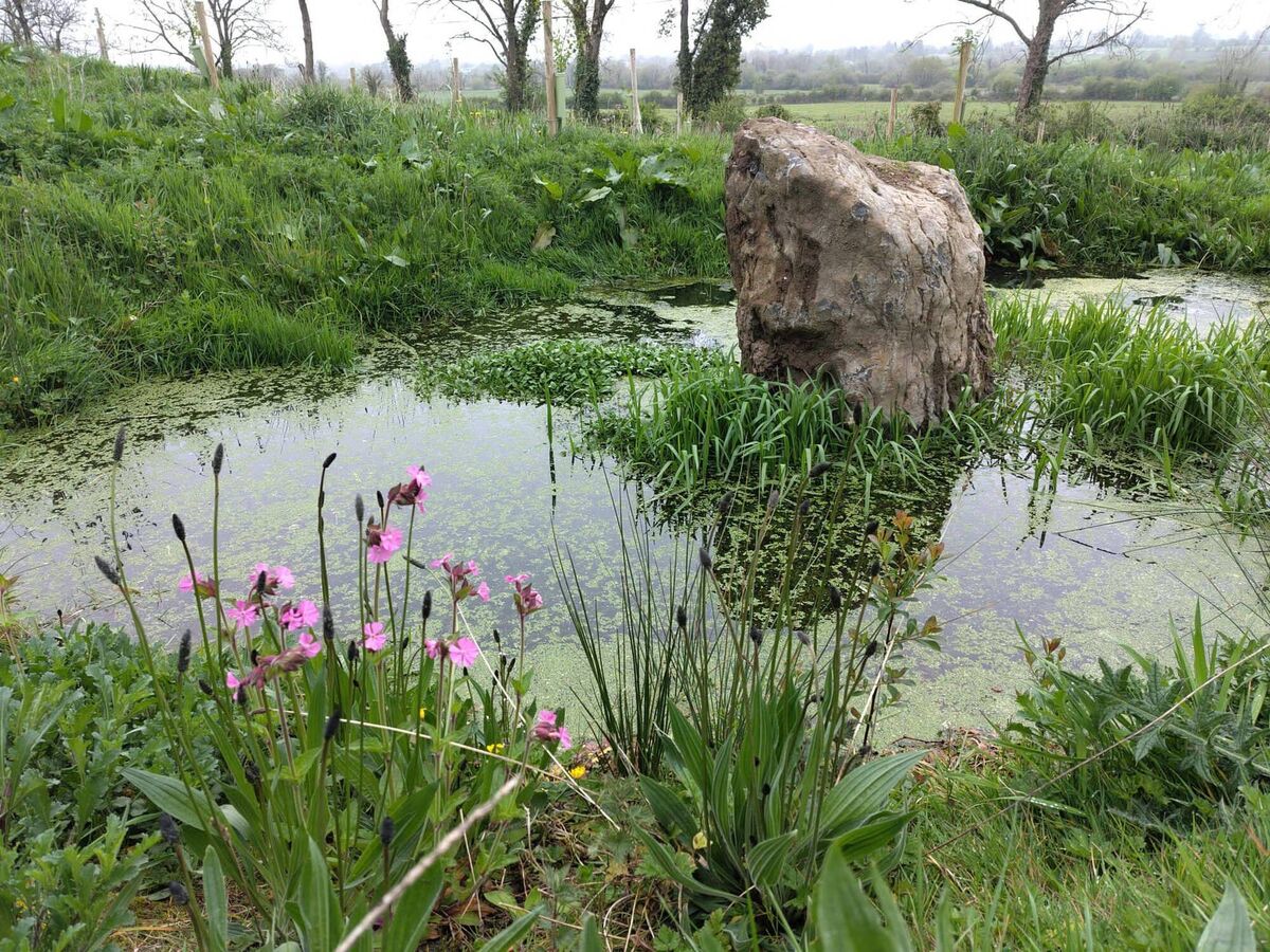 Water quality initiatives provide another example of targeted action. Through the Farming for Water European Innovation Partnership, farm assessments are used to identify measures suited to the risks on an individual farm. Water quality initiatives provide another example of targeted action. Through the Farming for Water European Innovation Partnership, farm assessments are used to identify measures suited to the risks on an individual farm.