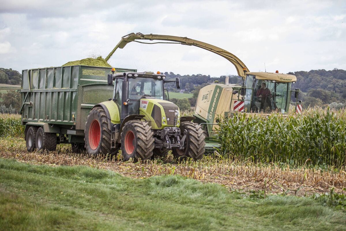 Maize is a costly crop to grow and there’s only one chance to get it right.