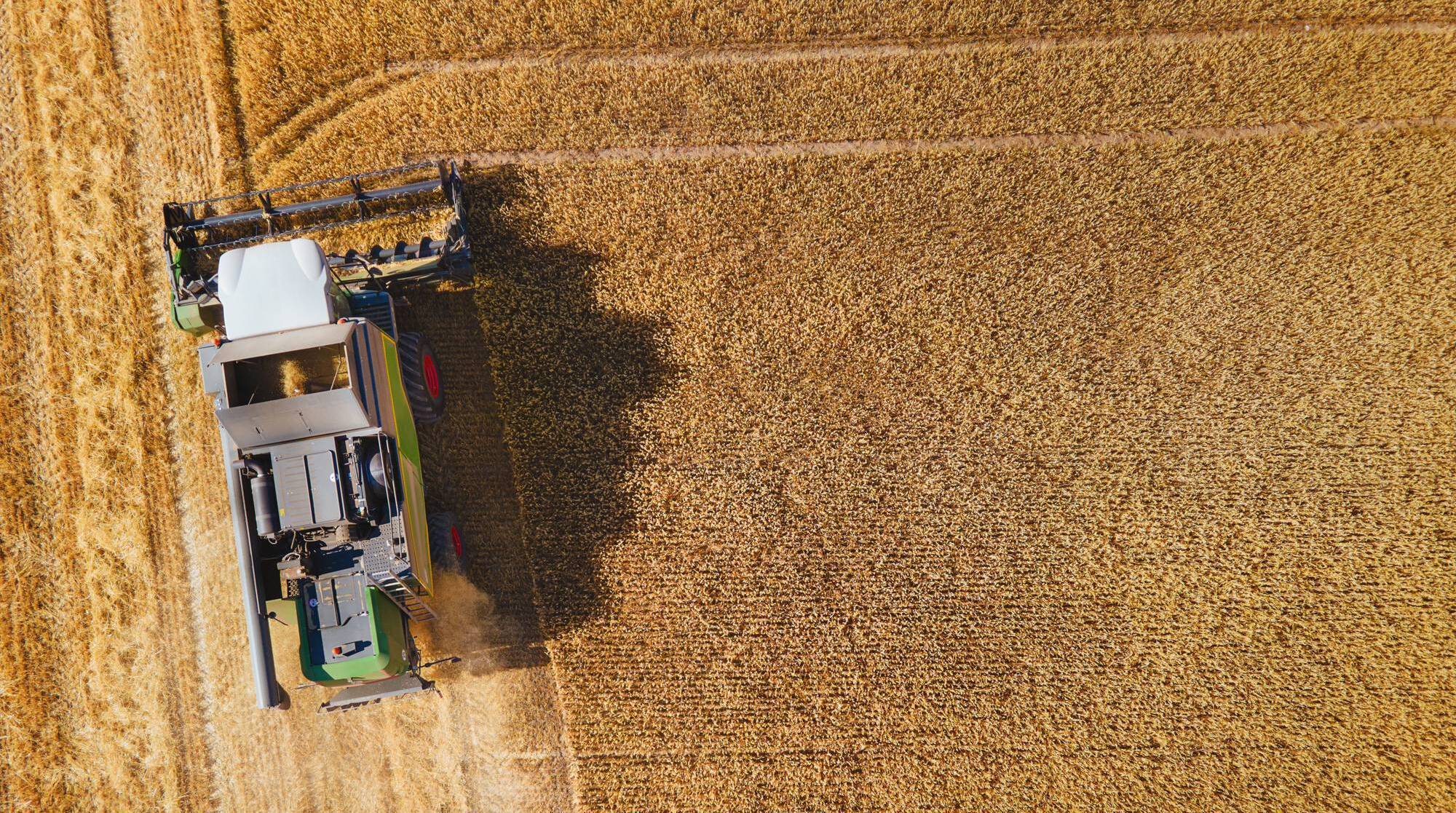 Rising costs hit 90% of agri-food firms