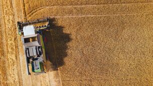 <p>The 2026 ifac Food and Agri-business Report found that 79% intend to grow over the next 12 months, while 38% plan to employ more people. File picture</p> <p>The 2026 ifac Food and Agri-business Report found that 79% intend to grow over the next 12 months, while 38% plan to employ more people. File picture</p>