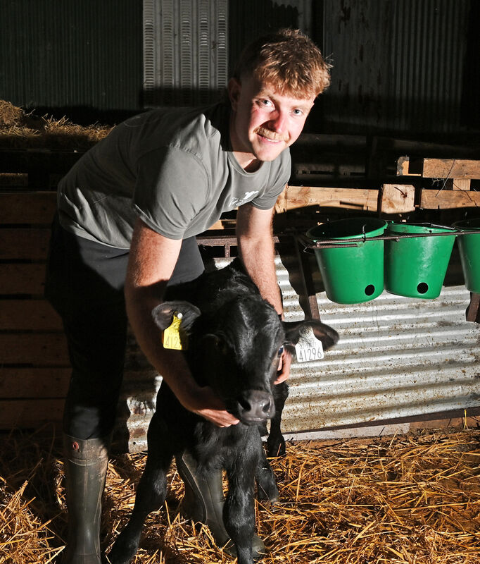 Jack Skehan with a calf on his farm at Ballinamult Co. Waterford. Picture: Eddie O'Hare Jack Skehan with a calf on his farm at Ballinamult Co. Waterford. Picture: Eddie O'Hare