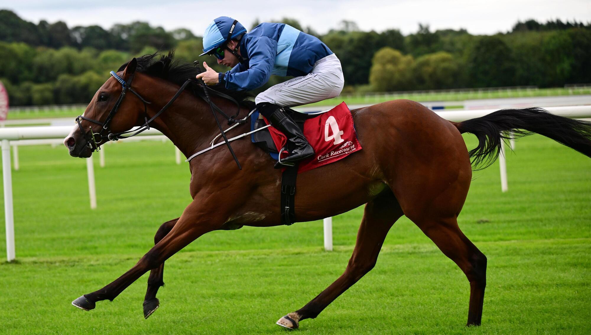 The Scallionator & Wesley Joyce win the Irish EBF Auction Series Race. Pic: HEALY RACING.