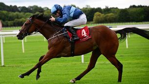 <p>The Scallionator &amp; Wesley Joyce win the Irish EBF Auction Series Race. Pic: HEALY RACING.</p>