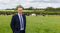 Irish-led breeding project aims to improve East African herd