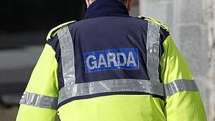 <p>Members of An Garda Síochána, supported by Europol working on the international operation, focused on the network suspected of trafficking the animals under falsified documents and manipulated microchips to conceal their true identities. File picture</p> <p>Members of An Garda Síochána, supported by Europol working on the international operation, focused on the network suspected of trafficking the animals under falsified documents and manipulated microchips to conceal their true identities. File picture</p>