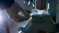Liquid nitrogen tank for bull sperm
