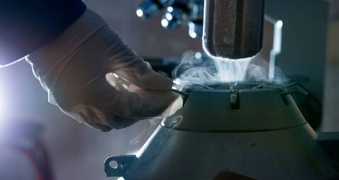 Liquid nitrogen tank for bull sperm