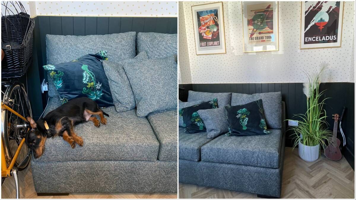 Jennifer's dog Perry relaxing while Jennifer works, left; right, the sofa bed. Jennifer's dog Perry relaxing while Jennifer works, left; right, the sofa bed.