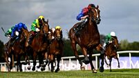 Irish Champions Festival - Day One