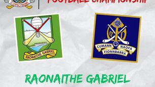 <p>Gabriel Rangers v St Finbarrs crests</p> <p>Gabriel Rangers v St Finbarrs crests</p>