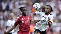 Liverpool v Fulham - Premier League - Anfield