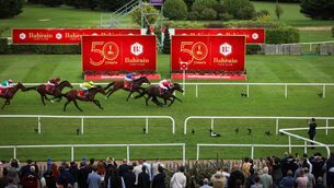 <p>Shane Foley (pink silks) onboard Hotazhell comes home to win. Pic: ©INPHO/Tom Maher.</p> <p>Shane Foley (pink silks) onboard Hotazhell comes home to win. Pic: ©INPHO/Tom Maher.</p>