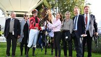 World record: Winx's first foal sells for eye-watering AU$10m World record: Winx's first foal sells for eye-watering AU$10m