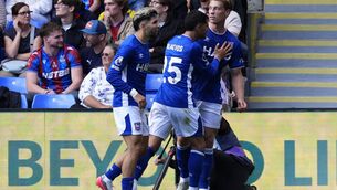 <p>Zian Flemming, right, celebrates his winner (Jordan Pettitt/PA)</p>