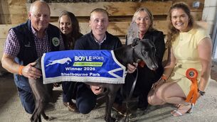 <p>The Holland family celebrate with their Derby winner, Bockos Gold</p>
