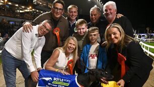 <p>Owners and winning connections celebrate with Bockos Gold after winning the BOYLE Sports Irish Greyhound Derby at Shelbourne Park. Pic: David Fitzgerald/Sportsfile</p>