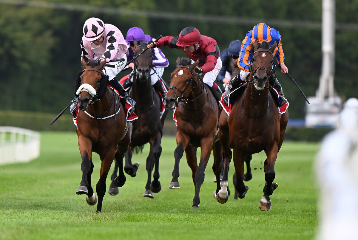 Hotazhell and Shane Foley (left) win from Wimbledon Hawkeye (not in picture) Constitution River (right) and A Boy Named Susie (centre) for owners Silverton Hill Partnership and trainer Jessica Harrington. Hotazhell and Shane Foley (left) win from Wimbledon Hawkeye (not in picture) Constitution River (right) and A Boy Named Susie (centre) for owners Silverton Hill Partnership and trainer Jessica Harrington.