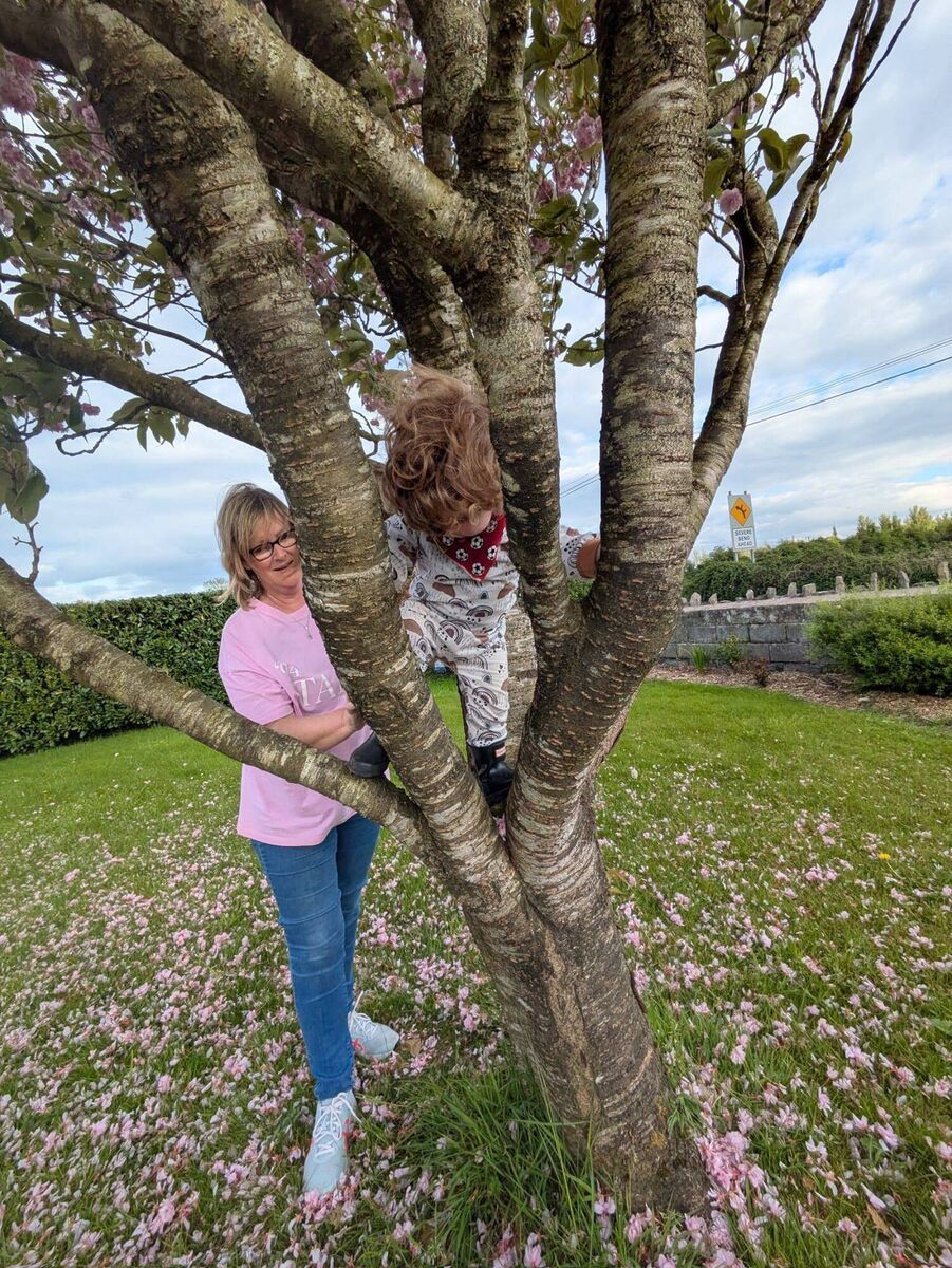 Jackie Matthews: 'If you are going to turn your home into a heavily-regulated business, it's going to change how you operate and the feeling for the child.'