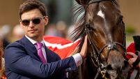Trainer Donnacha O’Brien with Comanche Brave 13/9/2026