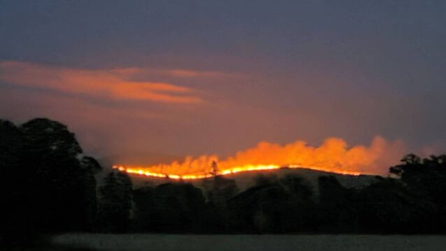<p>Wildfires rage on Slievenamon, Co Tipperary, this summer. Picture: Cllr Michael Brennan/Facebook </p>