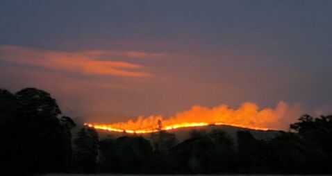 Cllr Michael Brennan.jpg Burning issues: Are barbecue bans and fines needed to tackle wildfires at source?