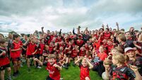 Maurice Brosnan: Cliffords and Fossa cross the final frontier