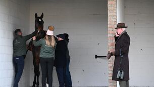 <p>Trainer Willie Mullins watching on as Fact To File is saddled in Punchestown last year. Pic: Healy Racing</p> <p>Trainer Willie Mullins watching on as Fact To File is saddled in Punchestown last year. Pic: Healy Racing</p>