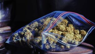 <p>The case allegedly involves over €500,000 worth of cannabis. File picture</p> <p>The case allegedly involves over €500,000 worth of cannabis. File picture</p>