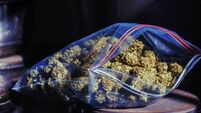 Cannabis ready to roll