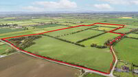 80a quality farm just south of Kilkenny guiding €18k/acre at auction