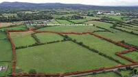 Brace of Golden Vale land parcels going under the hammer, guiding at €400,000 and €275,000