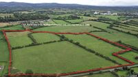 Brace of Golden Vale land parcels going under the hammer, guiding at €400,000 and €275,000