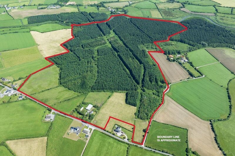 Marked aerial photo of the 116-acre farm at Yellowford, Ballymacoda, Co. Cork. Marked aerial photo of the 116-acre farm at Yellowford, Ballymacoda, Co. Cork.