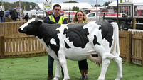 Crowds descend on Offaly for opening day of National Ploughing Championships