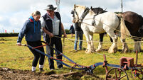 Crowds descend on Offaly for opening day of National Ploughing Championships