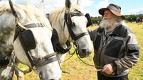 Crowds descend on Offaly for opening day of National Ploughing Championships
