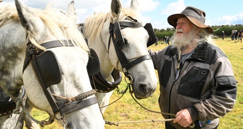 Crowds descend on Offaly for opening day of National Ploughing Championships