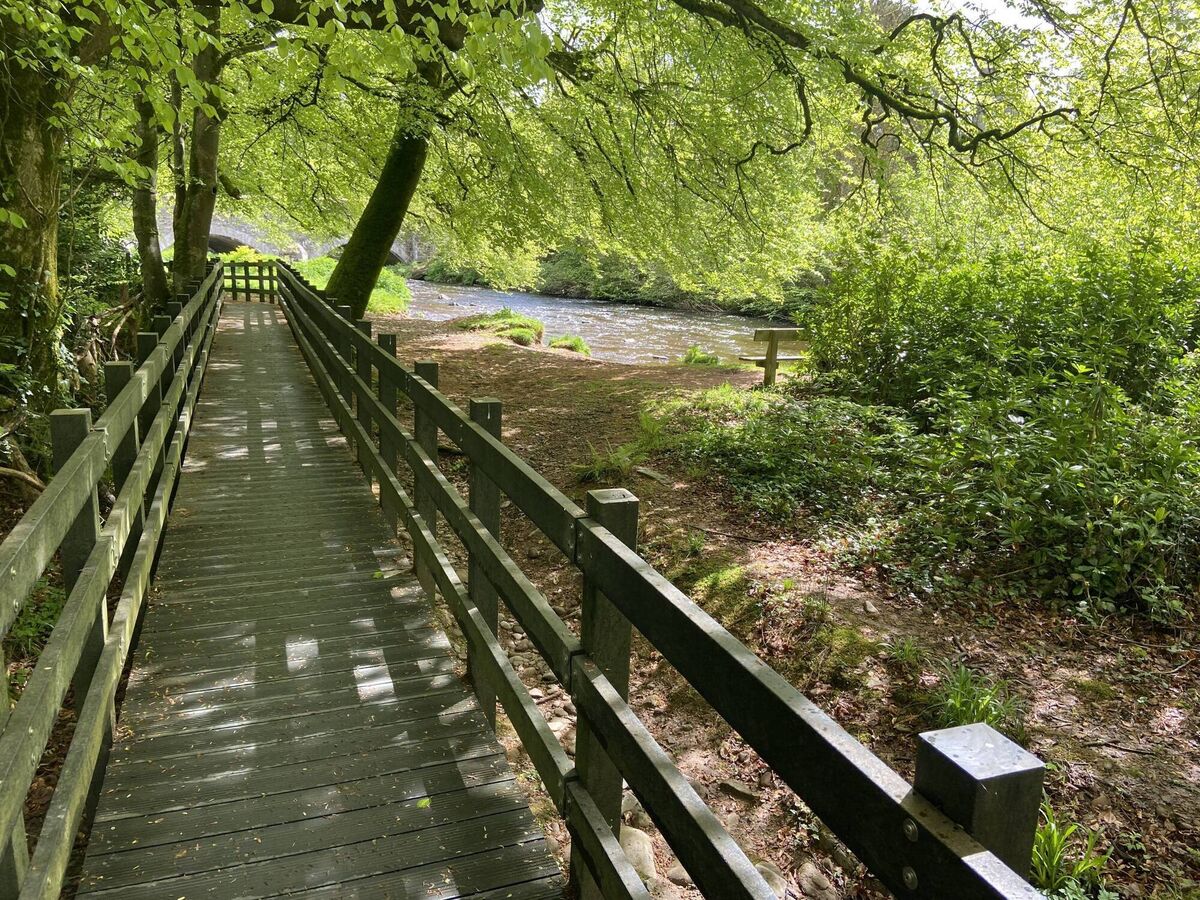 People enjoy the quality of the walkways along St Declan's Way at Ardmore, Co Waterford. Picture: John G O'Dwyer People enjoy the quality of the walkways along St Declan's Way at Ardmore, Co Waterford. Picture: John G O'Dwyer