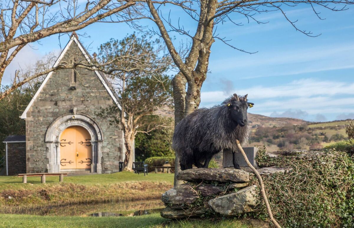A bright winter's day at St Finbarr’s Oratory in Gougane Barra, West Cork. Picture: David Creedon A bright winter's day at St Finbarr’s Oratory in Gougane Barra, West Cork. Picture: David Creedon