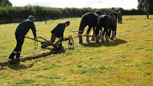 <p>The ploughing competitions are underway at the National Ploughing Championships at Screggan, Tullamore, Co Offaly. Picture: Larry Cummins</p> <p>The ploughing competitions are underway at the National Ploughing Championships at Screggan, Tullamore, Co Offaly. Picture: Larry Cummins</p>